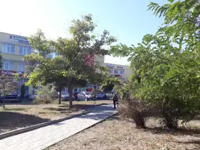 Azov - 12