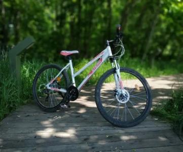 Усадьба Бавария - 7