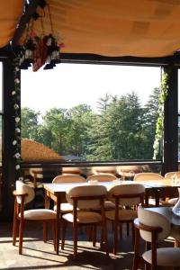 Majestic & Restaurant - 11