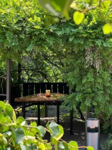 TeRRaSSe Guest house - 12