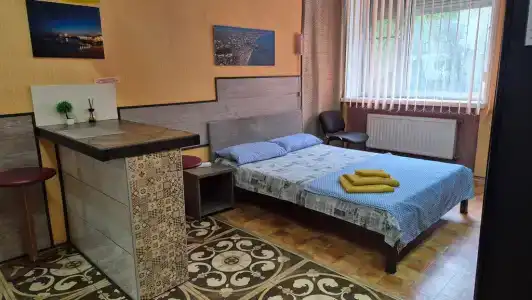 Gorkogo 93 Guest house - 29