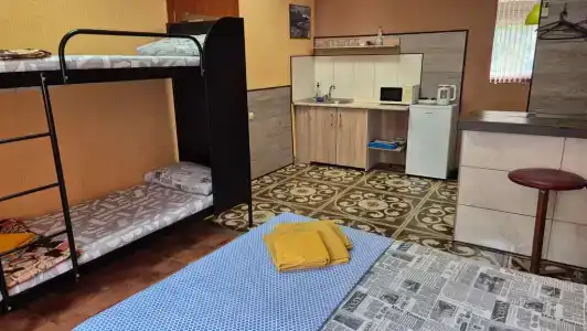 Gorkogo 93 Guest house - 30