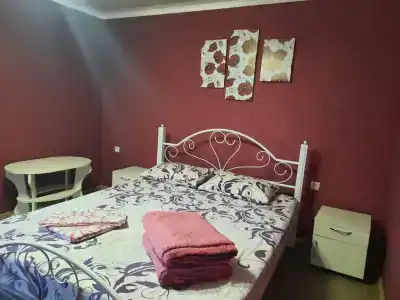 Guest house Viola - 15