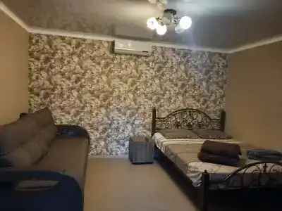 Guest house Viola - 11