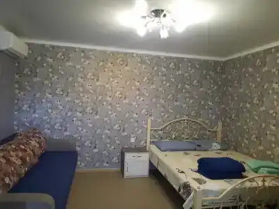 Guest house Viola - 42