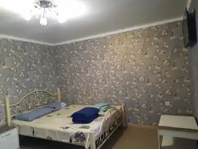 Guest house Viola - 43