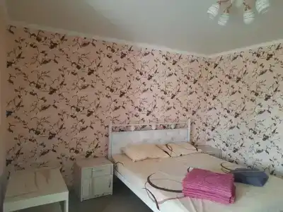 Guest house Viola - 27