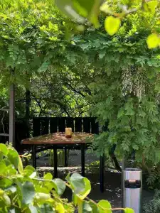 TeRRaSSe Guest house - 43