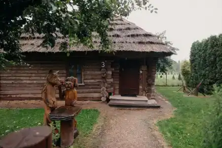 Agrousadba Mazychi - 53