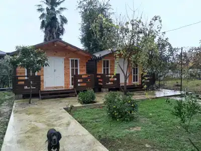 Recreation center "Nikol" - 13