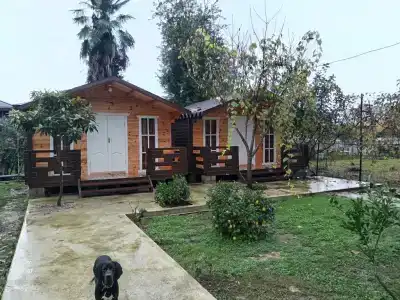 Recreation center "Nikol" - 15