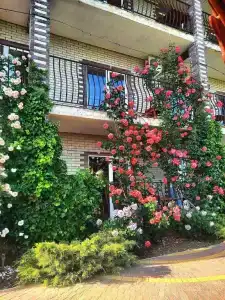 Guest house "Avantel" - 23