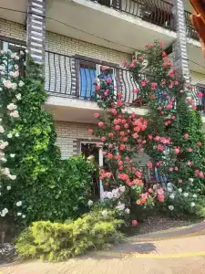 Guest house "Avantel" - 37