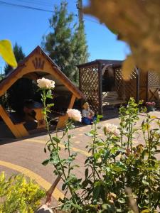 Guest house "Avantel" - 33