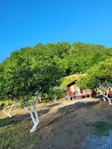Guest house "Domiki u Asi" - 15