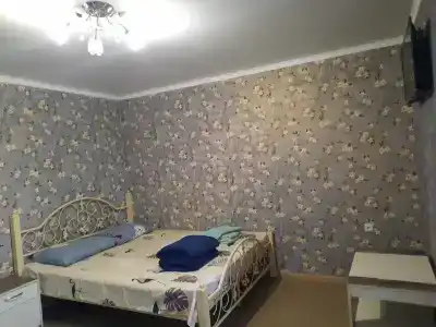 Guest house Viola - 38