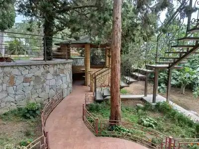 Kedrovaya polyana - 11