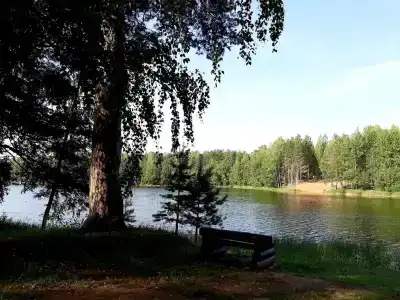 Охотник и рыболов - 6