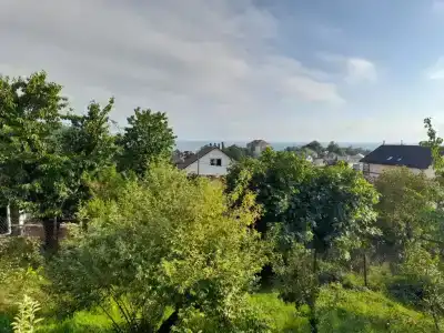 GreenAgoy - 3