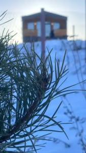 Atmosfera_village - 57