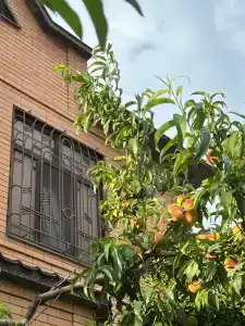 Domik u morya Tourist base - 27