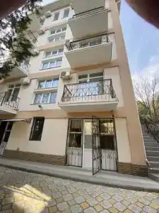 Rozmarin - 5