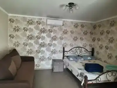 Guest house Viola - 34
