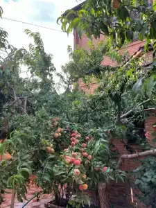 Domik u morya Tourist base - 25