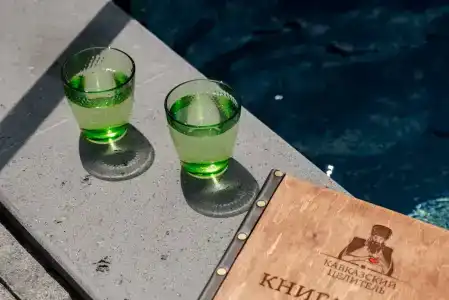 Kavkazskiy Tselitel - 13