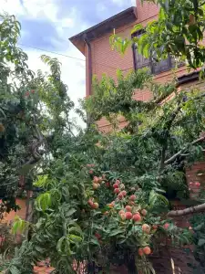 Domik u morya Tourist base - 24