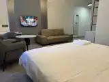 Двухместный номер с 1 кроватью Полулюкс