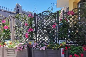 The Villa Trinacria, villa within walking distance of the sea with all services close by., Giardini-Naxos