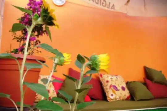 NightCap Hostel, St Julians