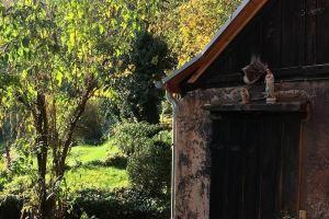 FELSENHAUS with view over - living in the rock Cottage, Trier
