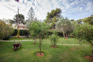 Joanna's Studios, Lassi