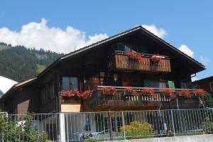 Hari Hotel, Adelboden