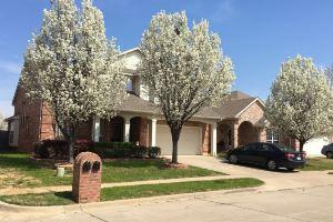 This Texas Oasis Home in a quiet neighborhood with easy access to IH-30 Apartments, Arlington