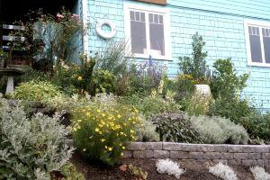 Dragonfly Beach House: Walk The Beach Or Soak Under The Stars In The Hot Tub!, Seattle