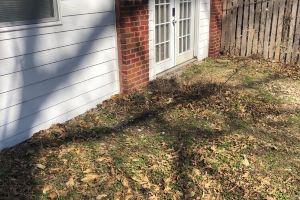 Large independent cottage, walking distance to campus and downtown, Columbia