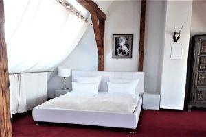 City Penthouse Mit Dachterrasse, Freiburg