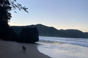 Quiet Studio - Apartment 4 in Villa Coconut, Samana