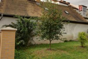 Herberge in der Buttergasse Hotel, Leipzig