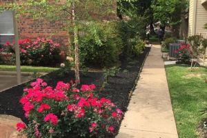 25% OFF 1BD Condo, Pool, HWY161/183, DFW South I28 Apartments, Irving