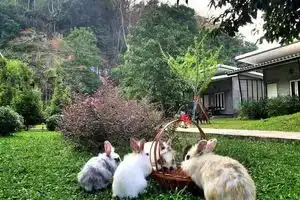 V Valley Resort, Satun