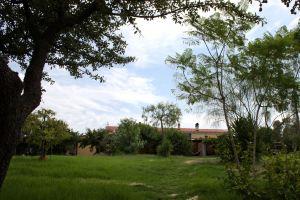 House 2 Rooms, Pool and Ancient Olive Tree - Near Sea, Castiadas