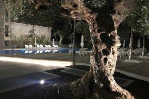 Youmami Suite Hotel Wellness&Spa, Giulianova
