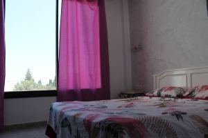 Casa bella vita Tunisia Italia, Hammamet