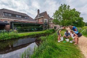 Exclusif 4 Hotel, Arnhem