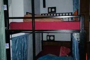 Neverland Hostel, Phi Phi Island