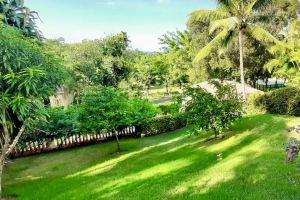 Pool Jacuzzi & Tropical Oasis Yard With Fruit Trees Hotel, Sosua